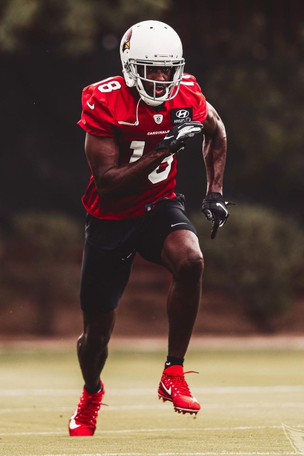 AJ Green Bio: Family, Contracts, Retirement & Net Worth