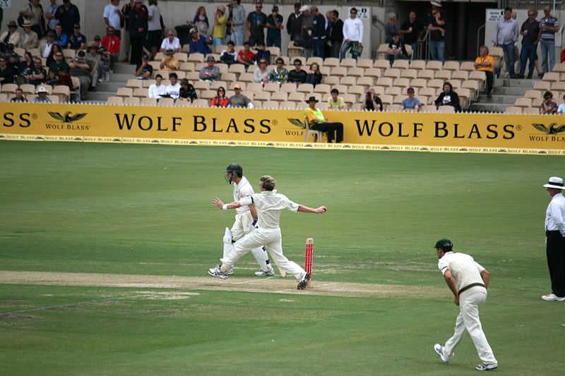12 Top Fastest Bowler in the Cricket History