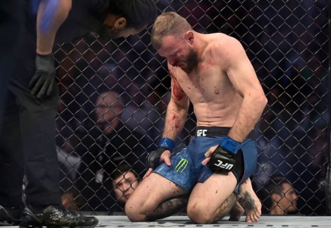 Top 98 Donald Cerrone Quotes