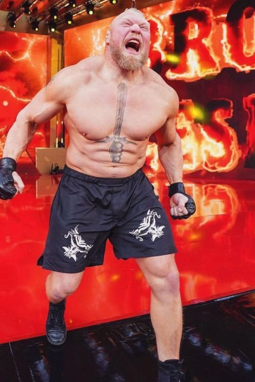 Who Is Brandi Nichol Lesnar? Brock Lesnar Sister- Brother Troy And Chad