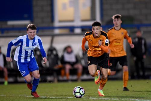 Wolves 2-1 Brighton: White gave Wolves a late win