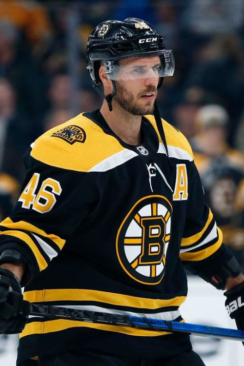 Who is Zdenek Krejci? David Krejci Brother-Age Gap And Family Tree