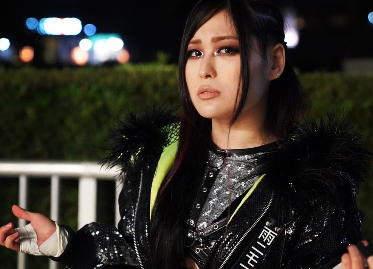 WWE Star Iyo Sky Sister Mio Shirai: Age Gap And Family Tree